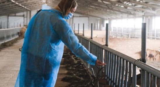 Tècnic Superior en Ramaderia i Assistència en Sanitat Animal