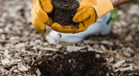 Tècnic Superior en Educació i Control Ambiental