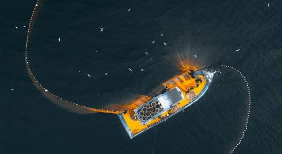 Tècnic Superior en Transport Marítim i Pesca d'Altura