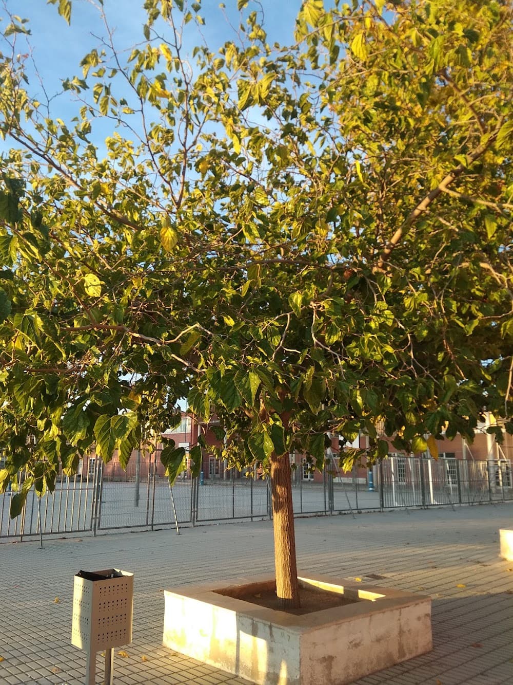 Foto del campus Enric Valor