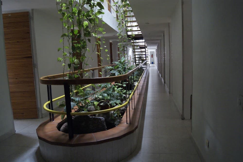 Educació Infantil a Compañía De María (Compañía De María, Talavera De La Reina): foto 3
