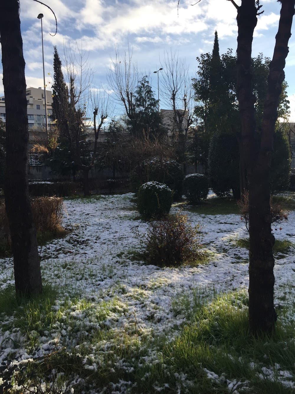 Foto secundaria del campus Generalife