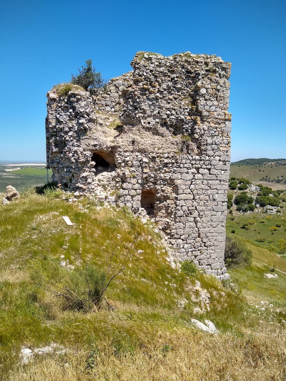 Gestión Administrativa en Castillo De Luna (Castillo De Luna, La Puebla De Cazalla): foto 1