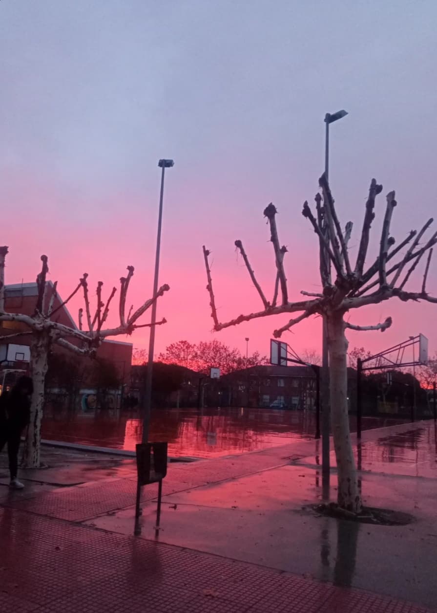 Foto secundaria del campus Las Encinas