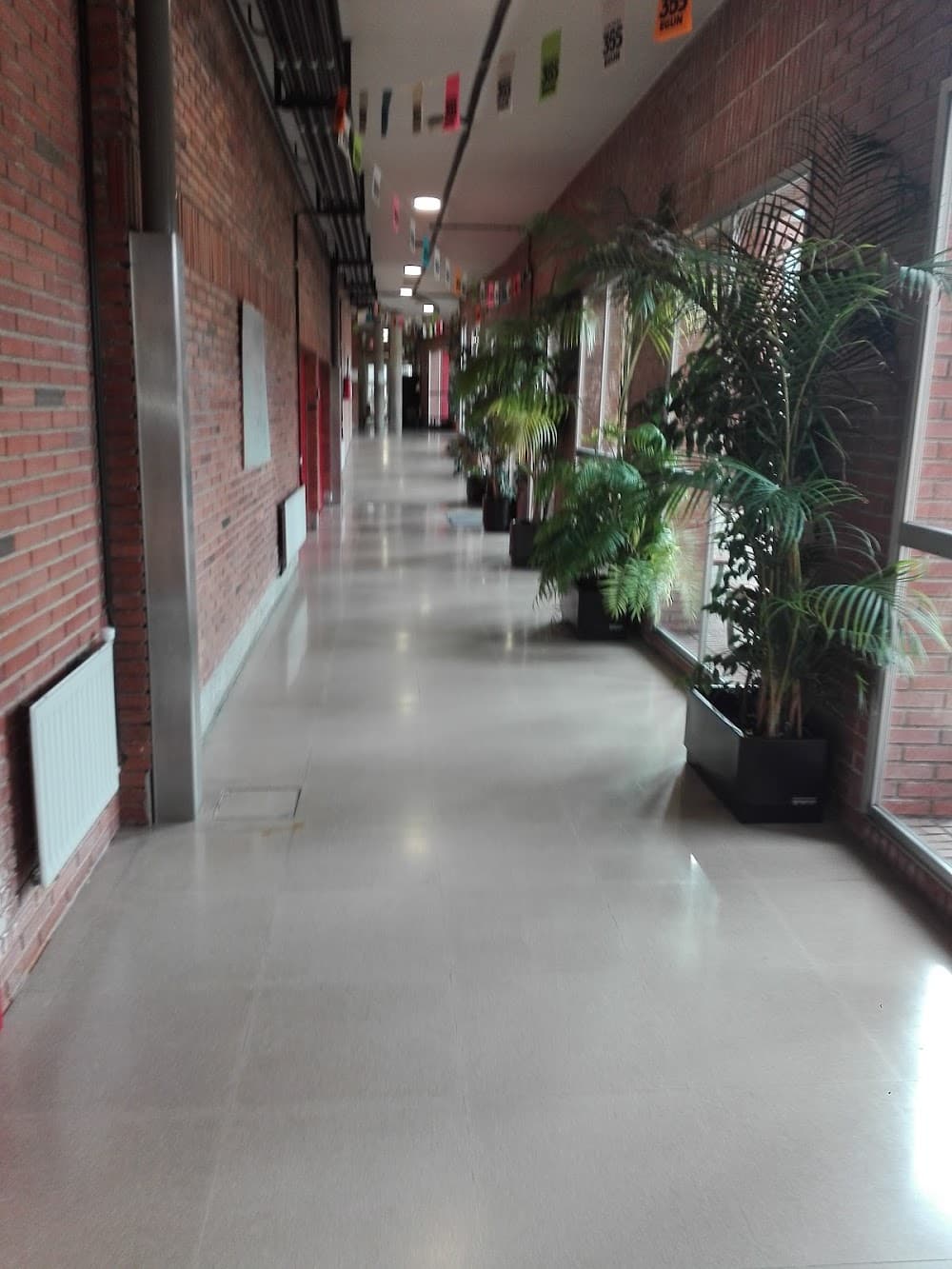 Desenvolupament D'aplicacions Web a Ciudad Jardin (Ciudad Jardin, Vitoria-gasteiz): foto 2