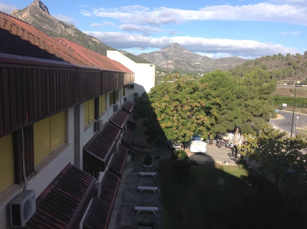 Enseñanza Y Animación Sociodeportiva en Los Naranjos (Los Naranjos, Gandia): foto 5