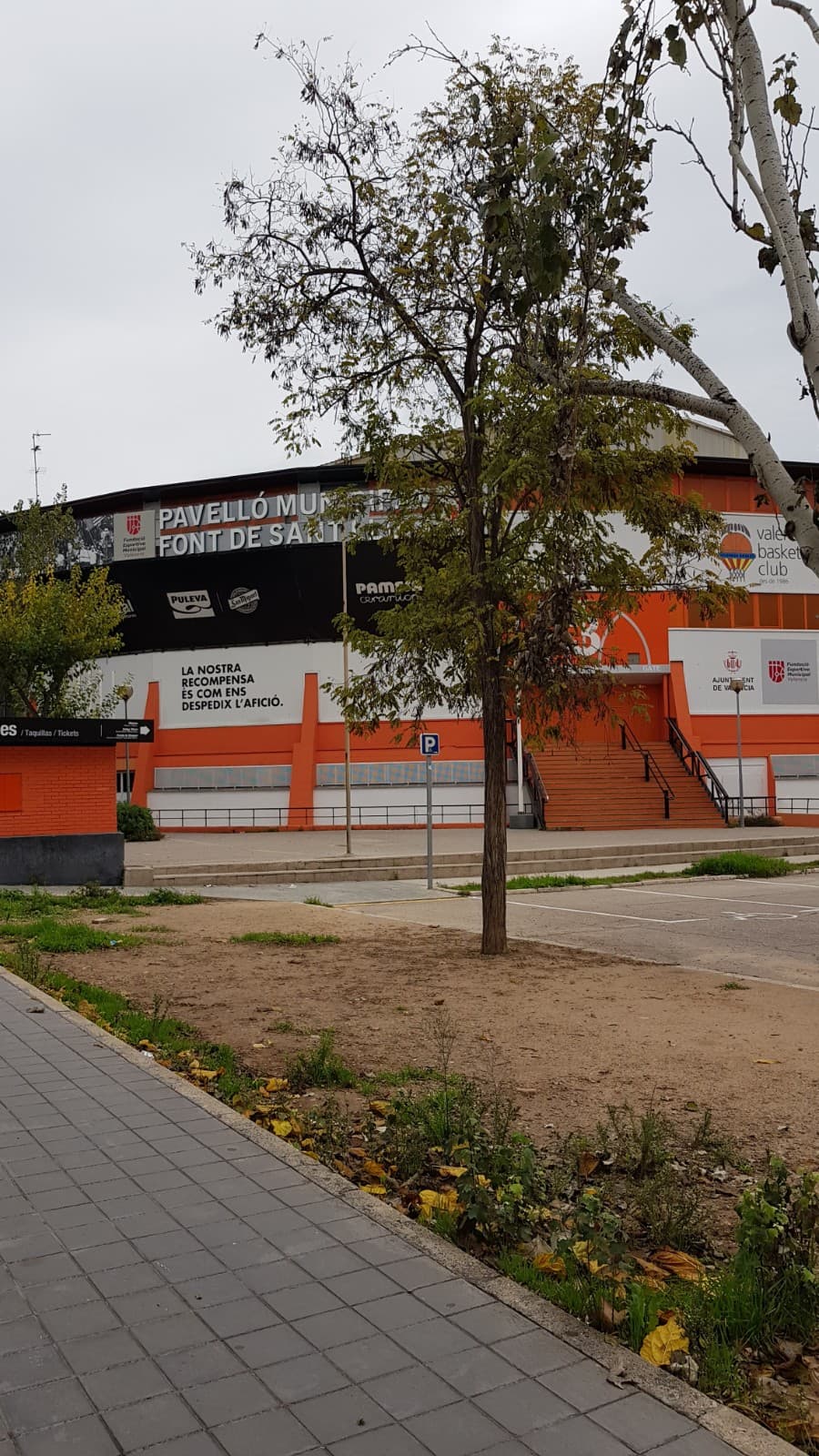 Educació Infantil a Jordi De Sant Jordi (Jordi De Sant Jordi, Valencia): foto 3