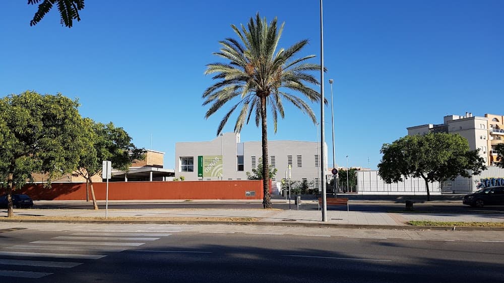 Cuina I Gastronomia a Lola Flores (Lola Flores, Jerez De La Frontera): foto 2