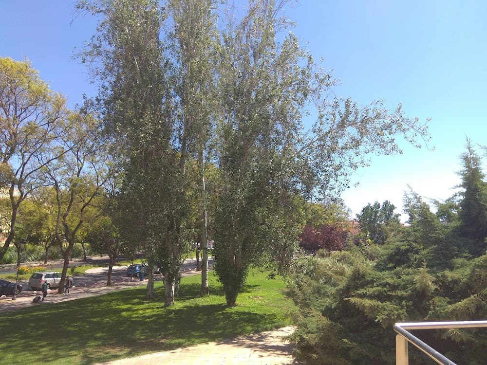Foto secundaria del campus San Sebastián