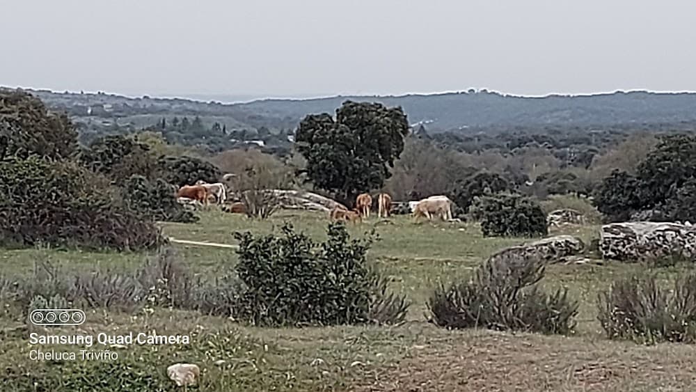 Documentació I Administració Sanitàries a Gregorio Peces-barba (Gregorio Peces-barba, Colmenarejo): foto 5