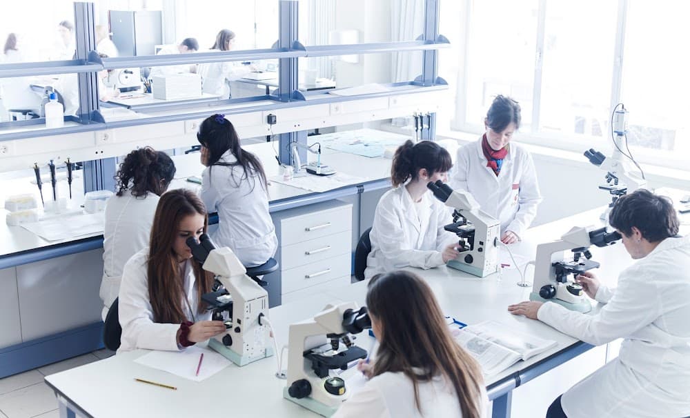 Foto secundaria del campus Politecnico Easo Politeknikoa
