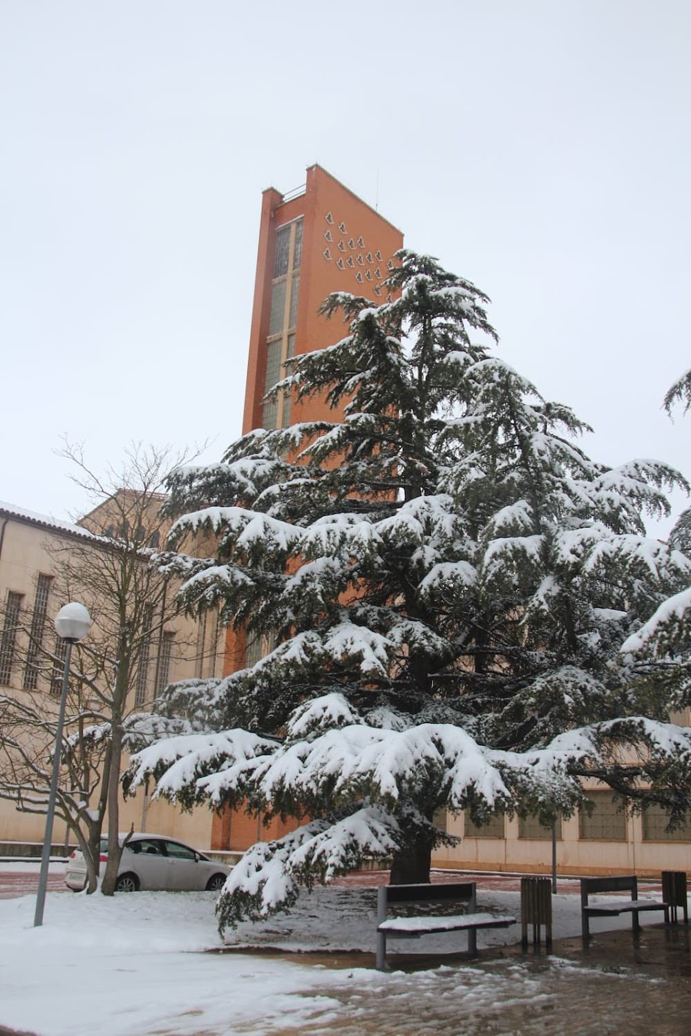 Foto secundaria del campus Alhama