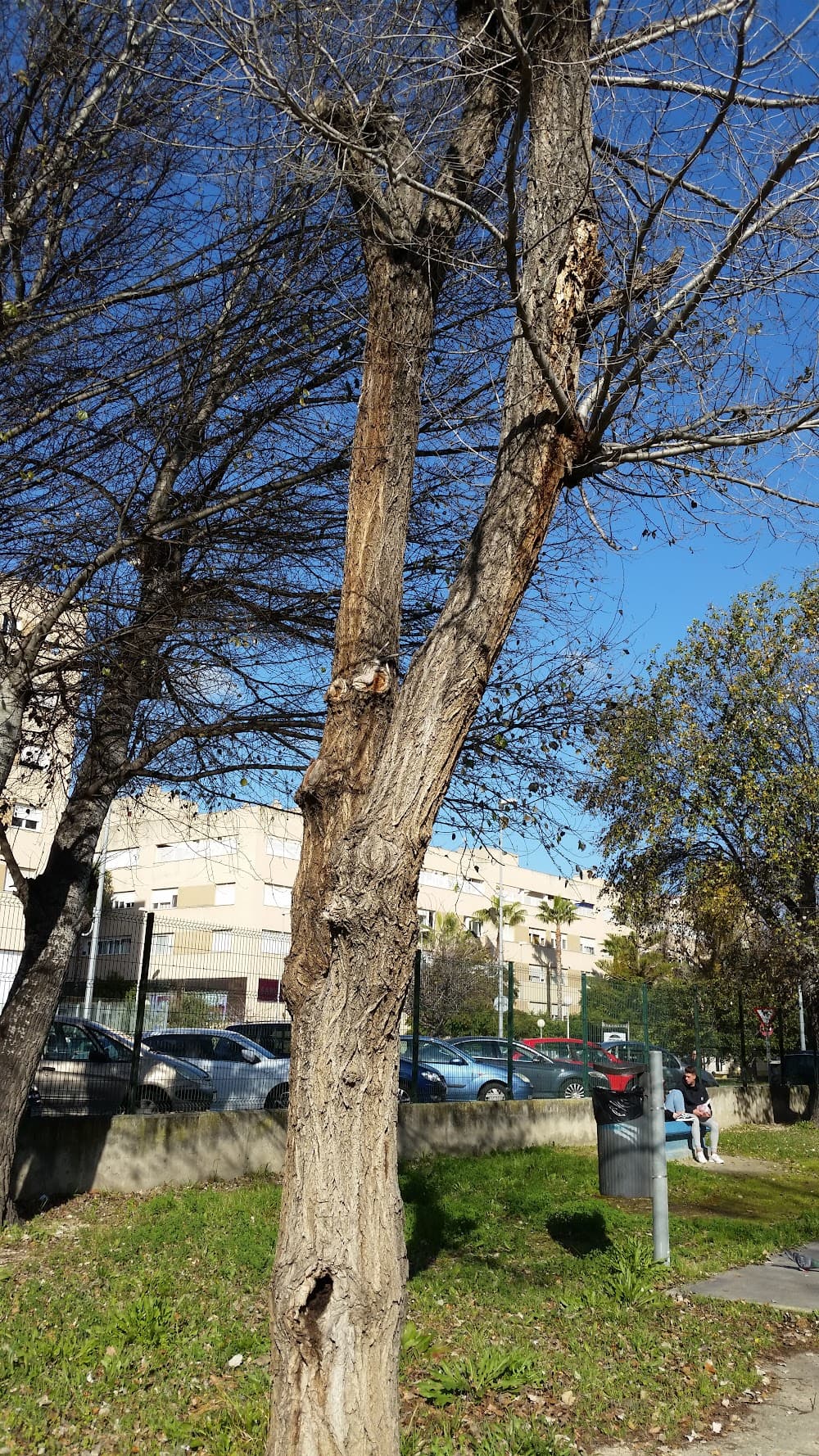 Foto secundaria del campus Rafael Alberti