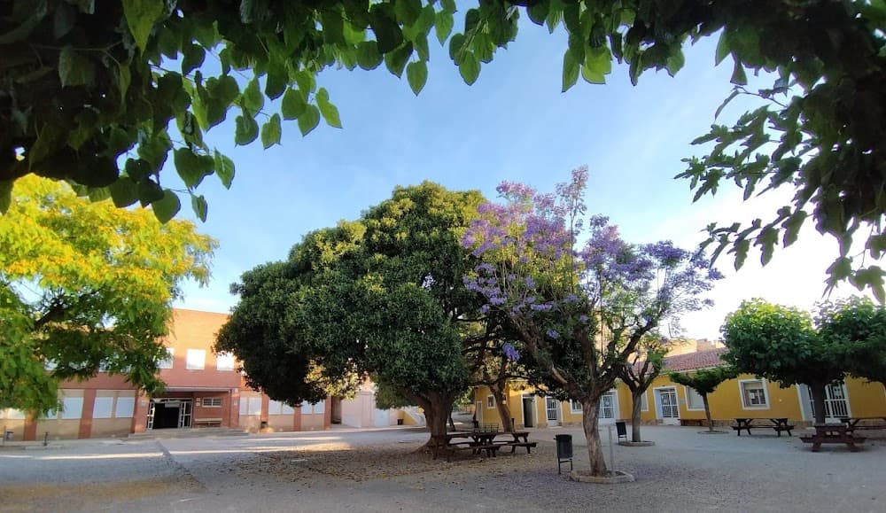 Gestión Administrativa en Prado Mayor (Prado Mayor, Totana): foto 5