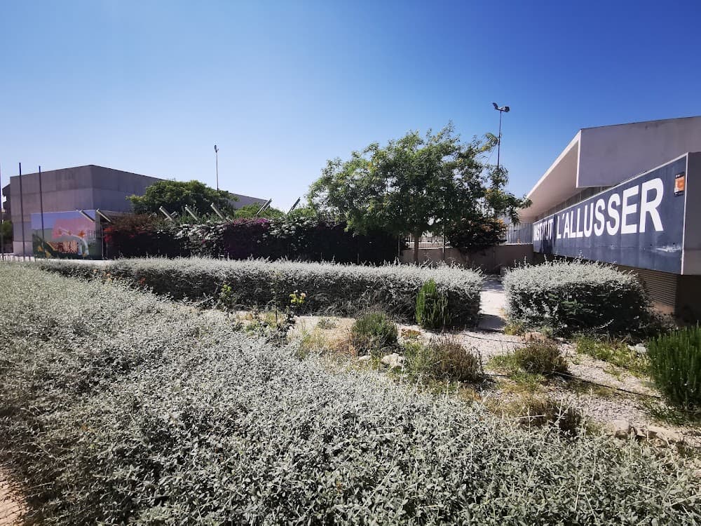 Jardinería Y Floristería en L'allusser (L'allusser, Mutxamel): foto 3