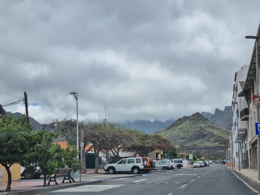 Gestió Forestal I Del Medi Natural a La Gomera (La Gomera, San Sebastián De La Gomera): foto 4