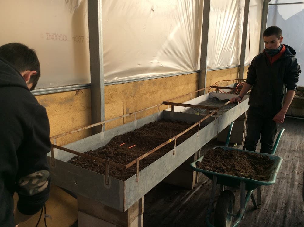 Educación Infantil en San Ignacio De Loyola (San Ignacio De Loyola, Torrelodones): foto 4
