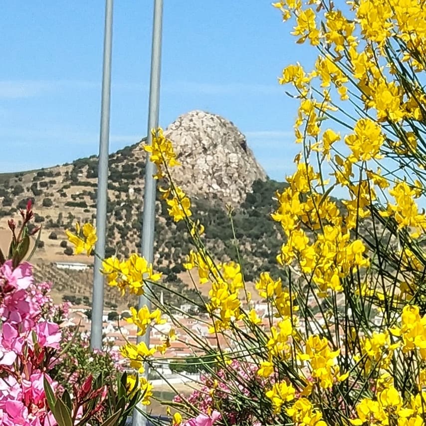 Gestió Administrativa a Alto Guadiato (Alto Guadiato, Peñarroya-pueblonuevo): foto 2