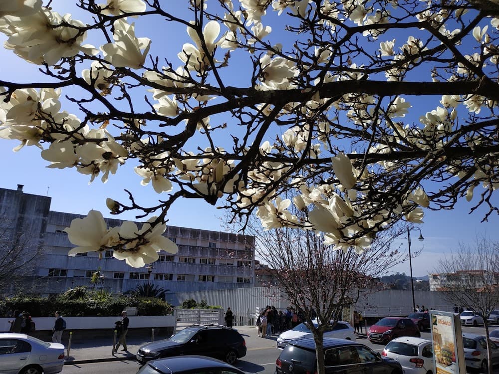 Foto secundaria del campus Sánchez Cantón