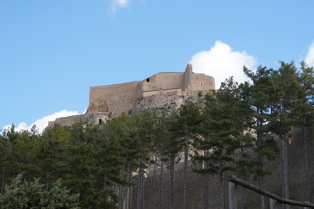 Aceites De Oliva Y Vinos en Els Ports (Els Ports, Morella): foto 1