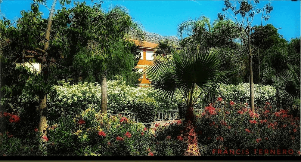 Administración De Sistemas Informáticos En Red en Los Manantiales (Los Manantiales, Torremolinos): foto 5