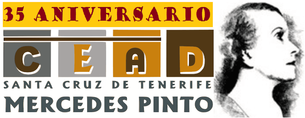 Foto secundaria del campus Santa Cruz De Tenerife Mercedes Pinto