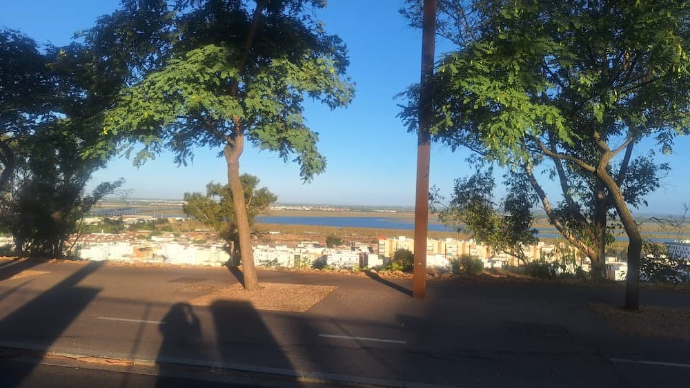 Mecanizado en Pintor Pedro Gómez (Pintor Pedro Gómez, Huelva): foto 2