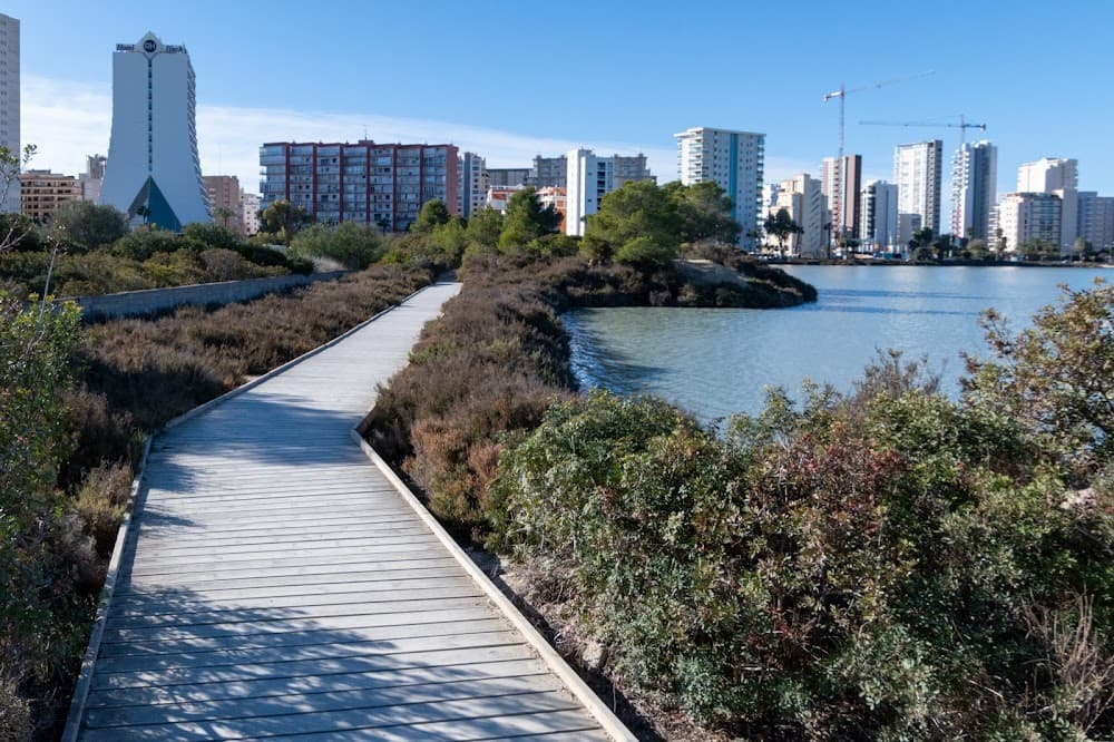 Foto secundaria del campus Les Salines