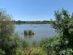 Ribera Del Tajo