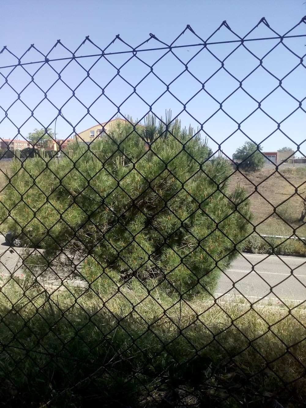 Foto secundaria del campus González Allende