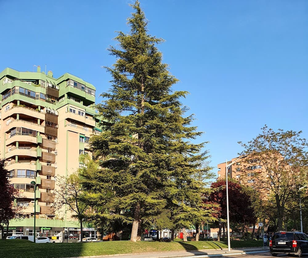 Projectes D'edificació a Parque Lineal (Parque Lineal, Albacete): foto 4