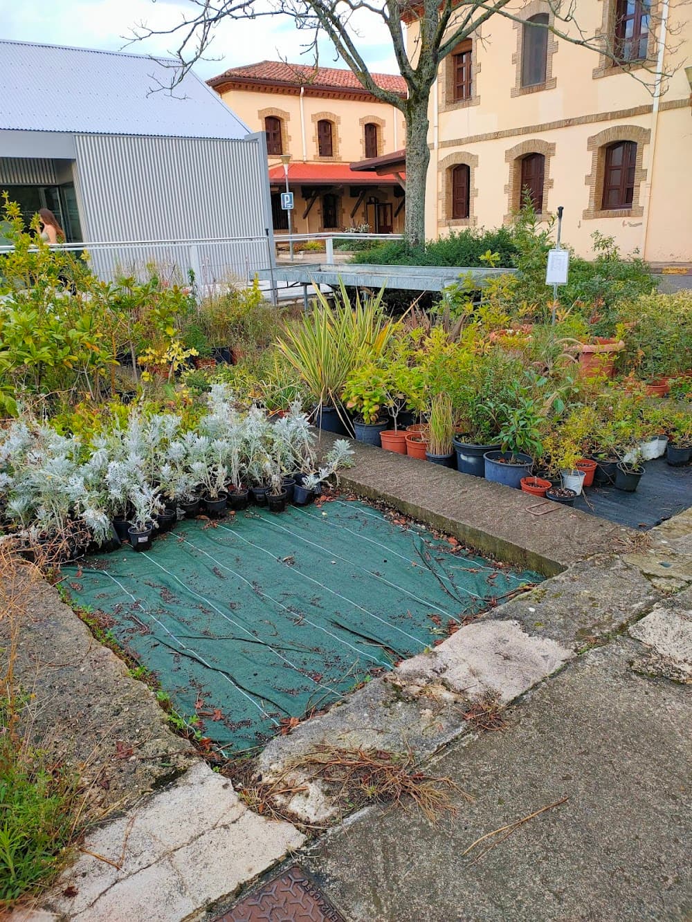Foto secundaria del campus Agroforestal