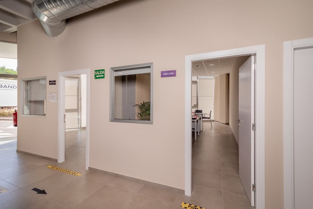 Educació Infantil a Centro Internacional Politécnico (Centro Internacional Politécnico, San Cristóbal De La Laguna): foto 4
