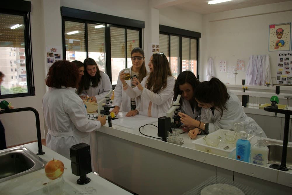 Integració Social a Los Naranjos (Los Naranjos, Fuenlabrada): foto 5