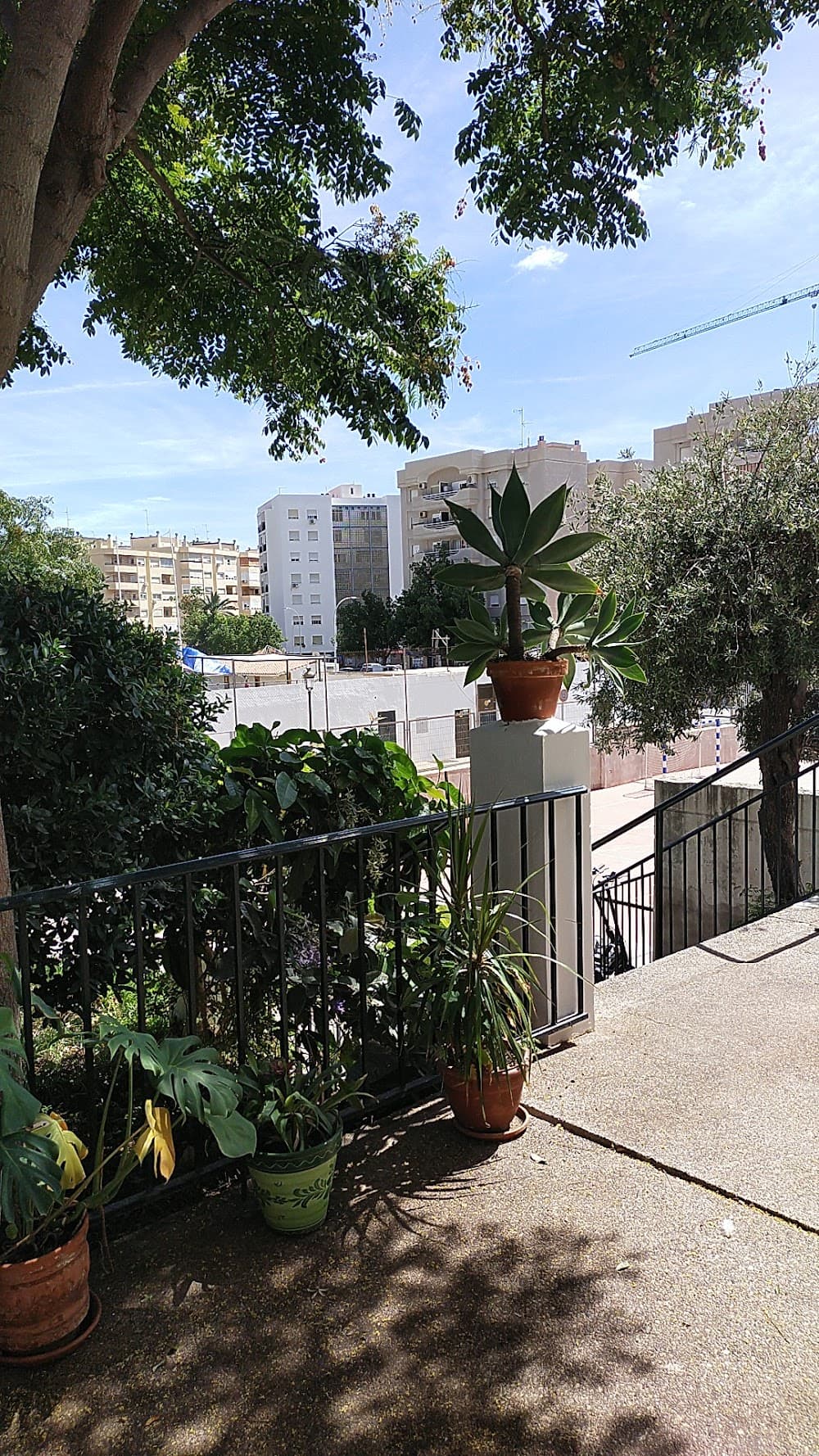 Foto secundaria del campus Monterroso