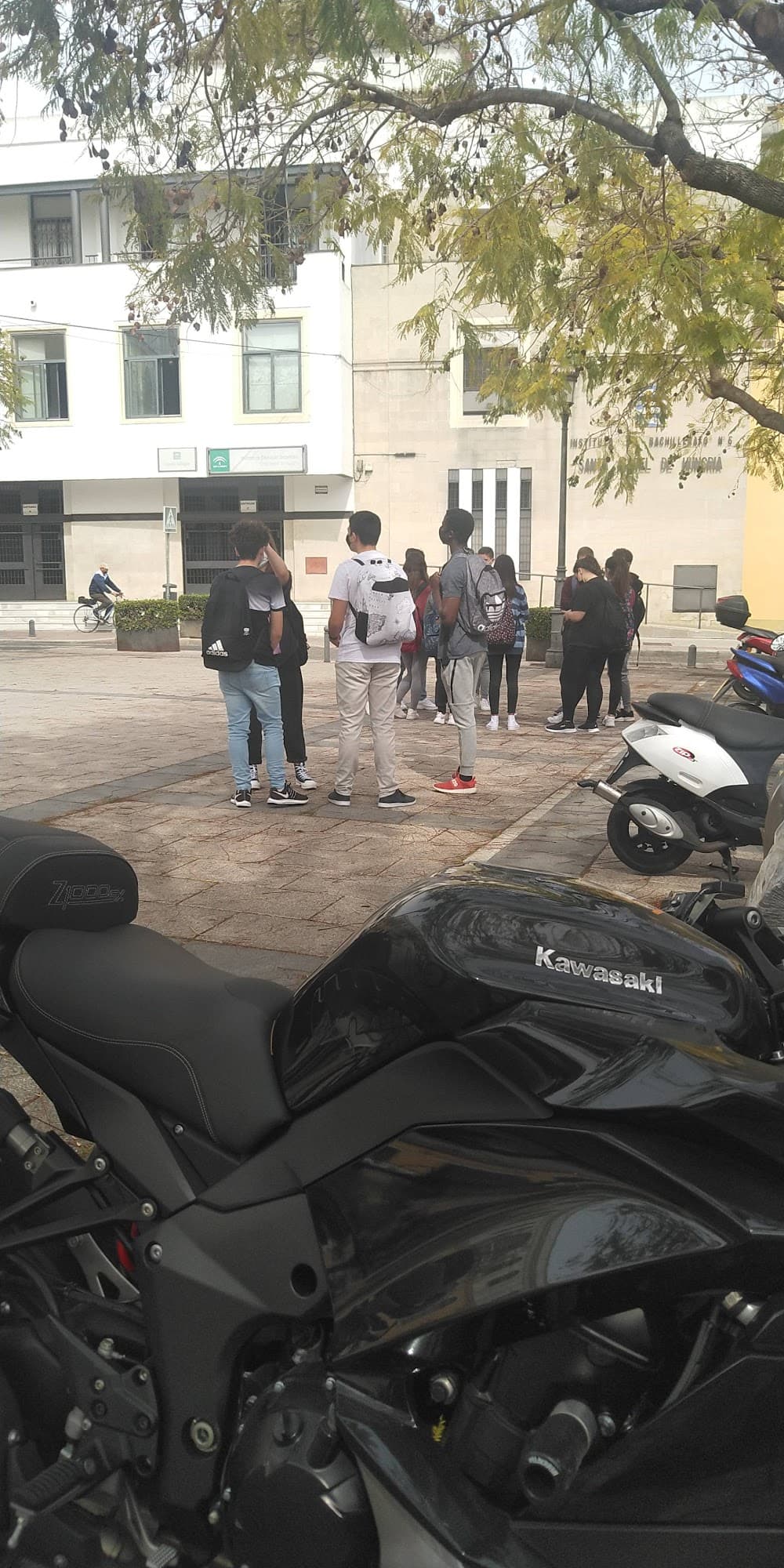 Integració Social a Santa Isabel De Hungría (Santa Isabel De Hungría, Jerez De La Frontera): foto 3