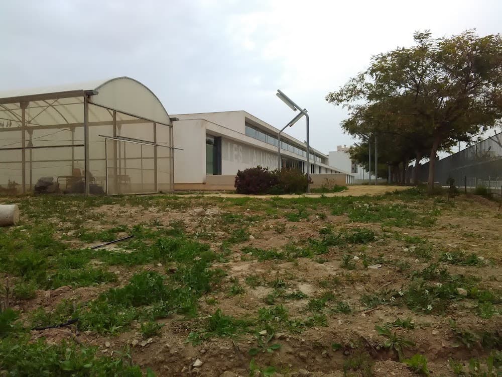 Jardinería Y Floristería en L'allusser (L'allusser, Mutxamel): foto 5