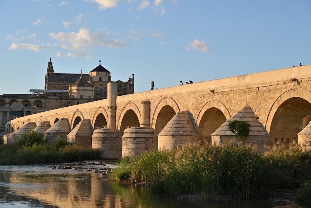 Aprovechamiento Y Conservación Del Medio Natural en Puente De Alcolea (Puente De Alcolea): foto 4