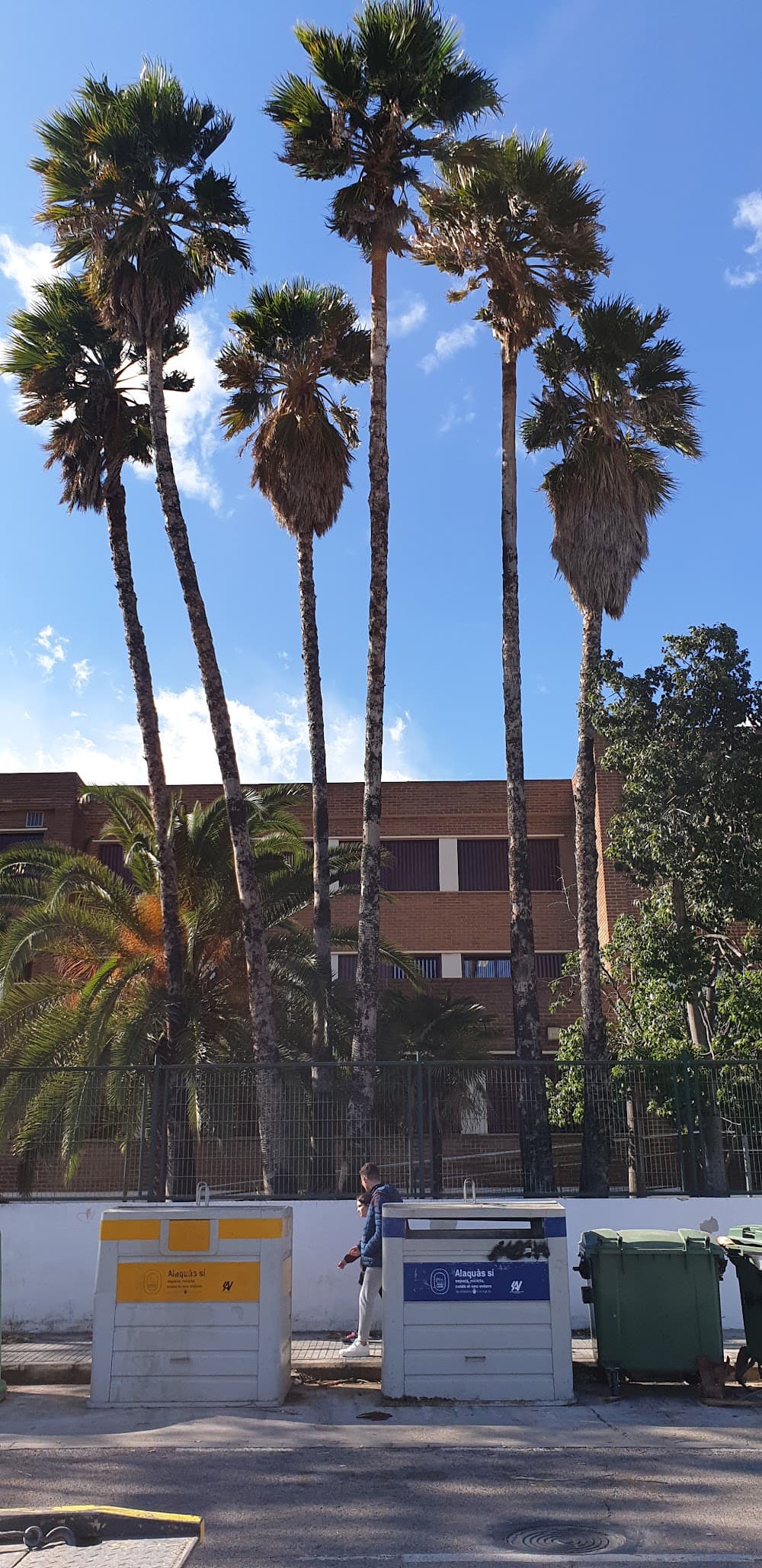Sistemes Microinformàtics I Xarxes a Doctor Faustí Barberá (Doctor Faustí Barberá, Alaquàs): foto 4