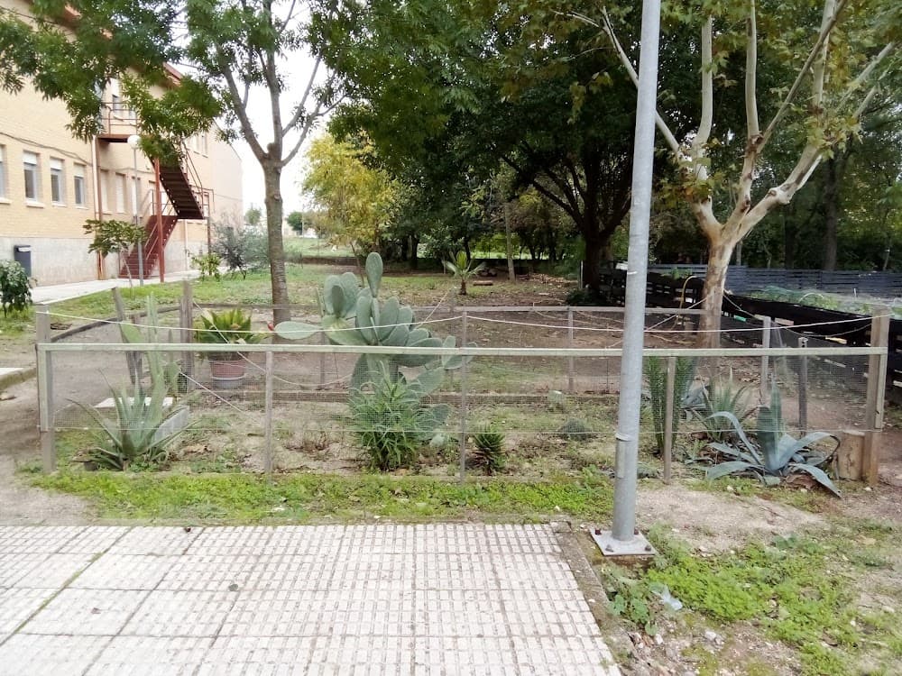 Foto secundaria del campus Al-qazeres