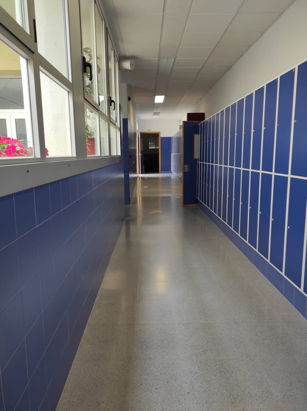 Desarrollo De Aplicaciones Web en Blasco Ibáñez (Blasco Ibáñez, Cullera): foto 3