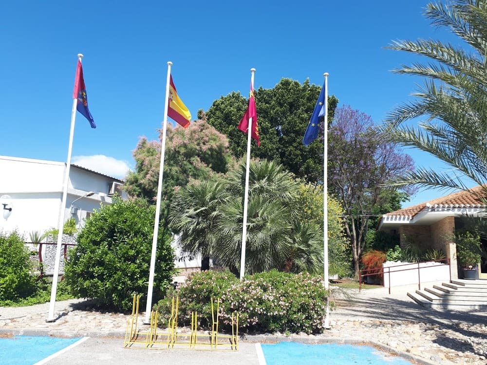Jardineria I Floristeria a Cifea De Torre Pacheco (Cifea De Torre Pacheco, Torre-pacheco): foto 5