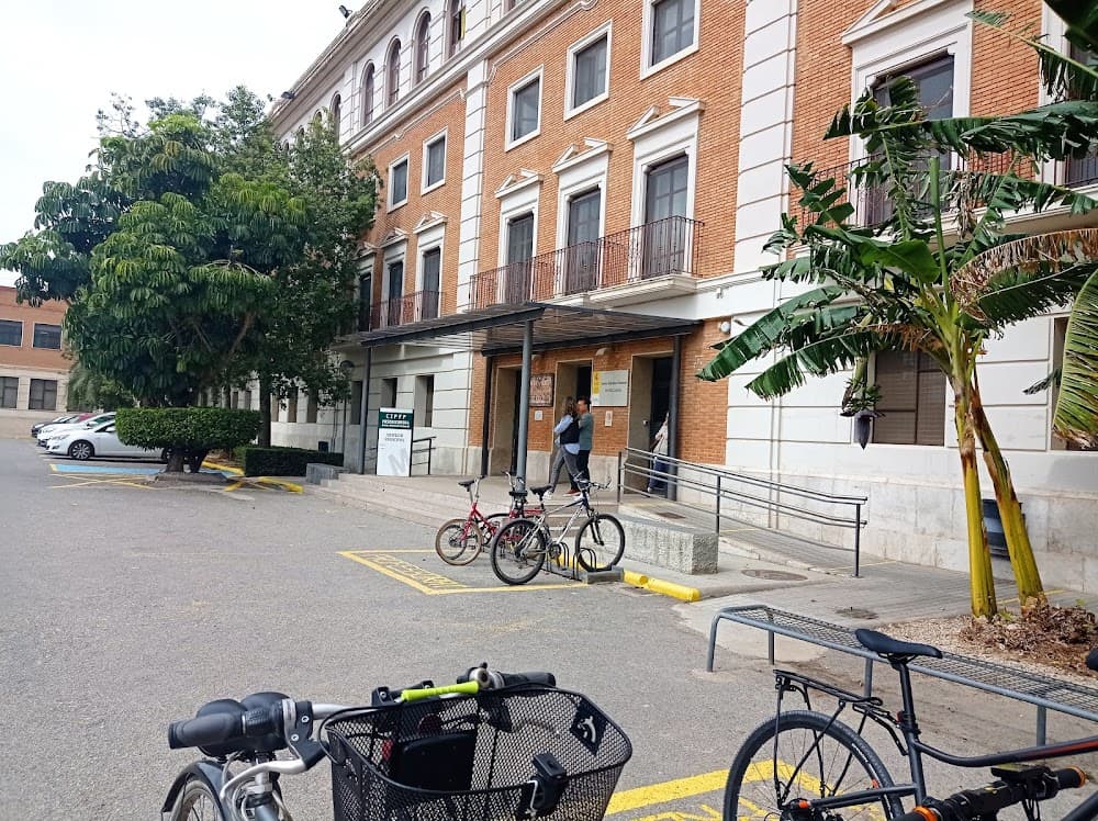 Foto secundaria del campus Misericòrdia