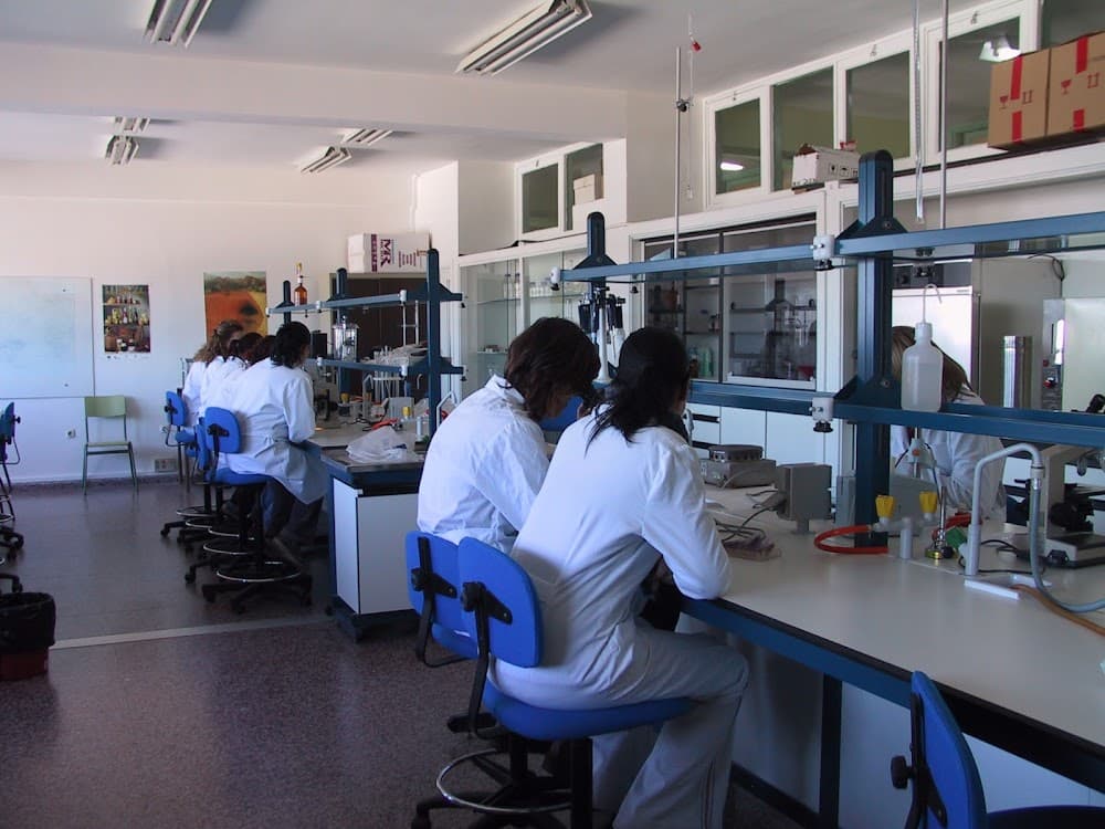Foto secundaria del campus Fuentesnuevas