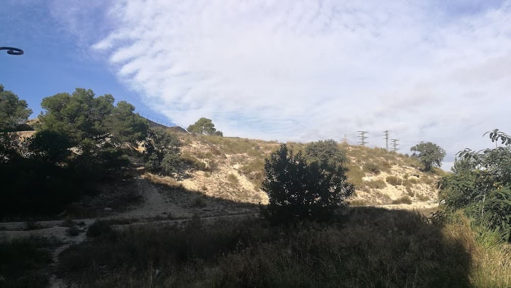 Guia En El Medi Natural I De Temps De Lleure a 8 De Marzo (8 De Marzo, Alicante): foto 2