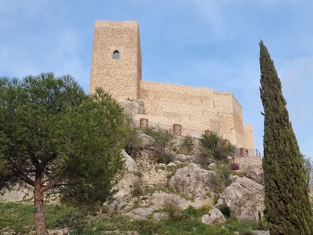 Olis D'oliva I Vins a Castillo De Albenzaide (Castillo De Albenzaide, Luque): foto 2