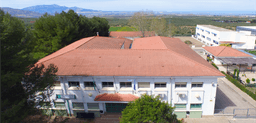 Peña Del Águila