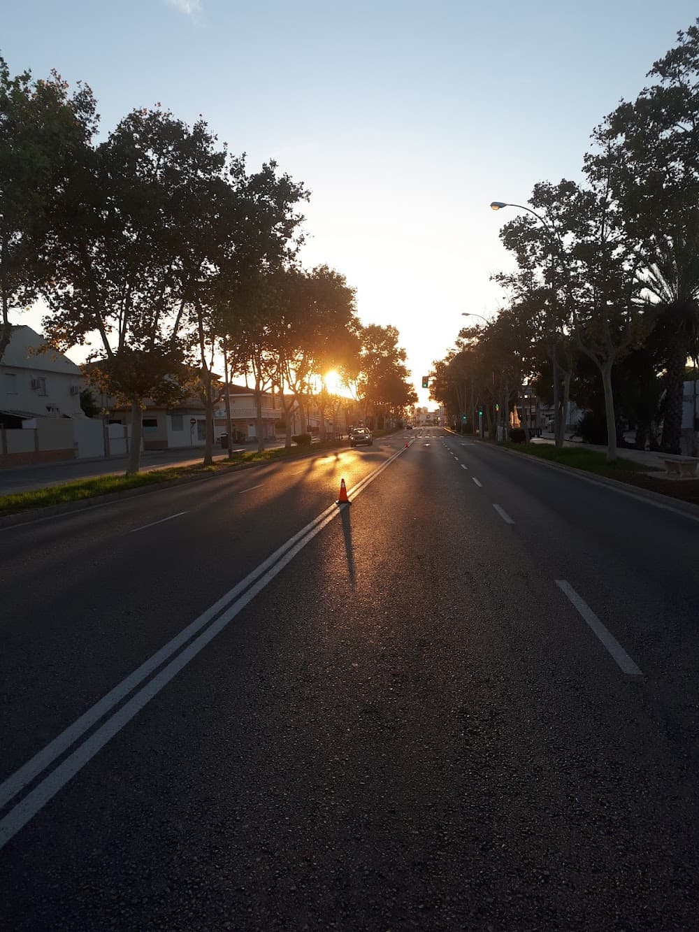 Foto secundaria del campus Mar Menor