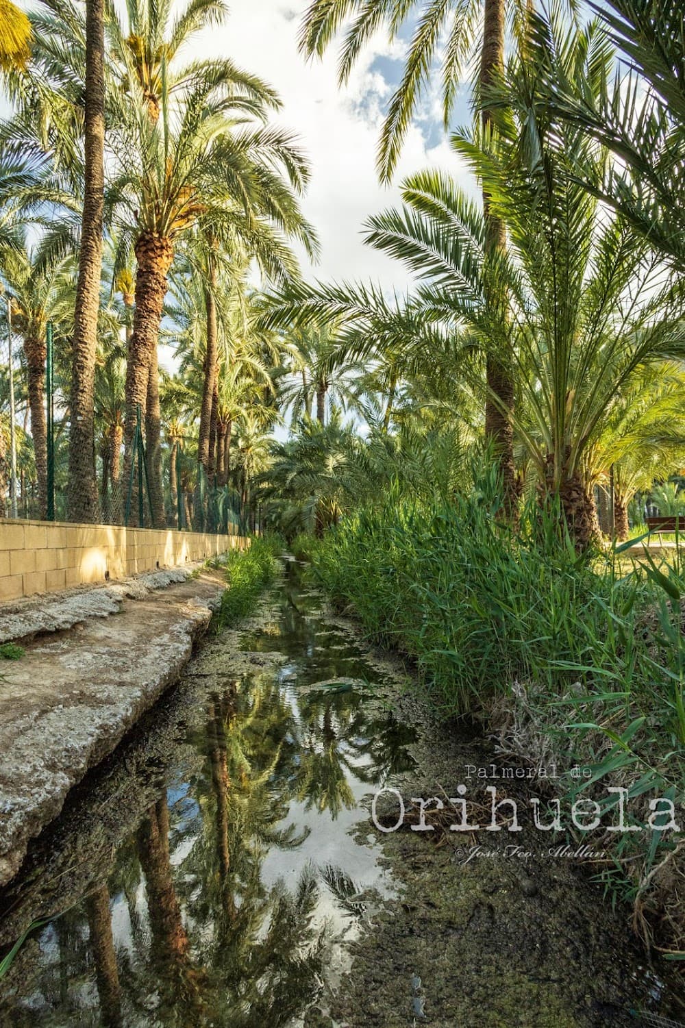 Foto secundaria del campus El Palmeral
