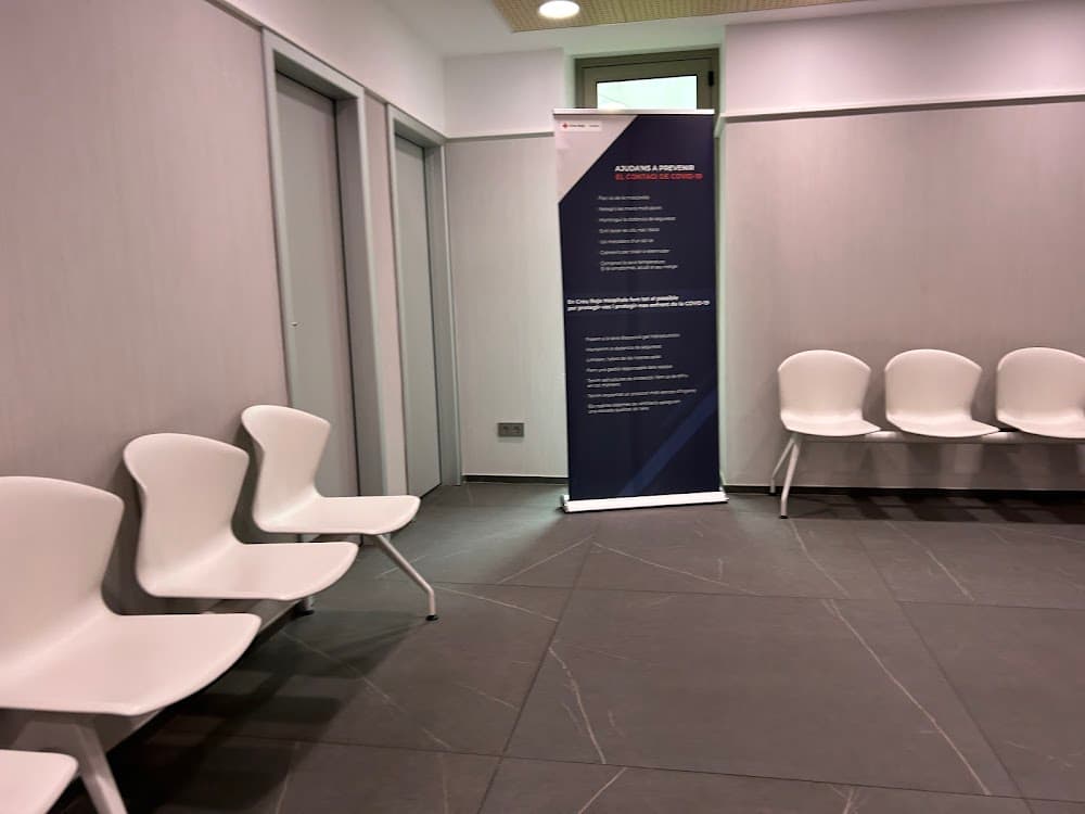 Atención A Personas En Situación De Dependencia en Creu Roja (Creu Roja, Palma): foto 4